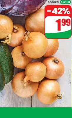 Cebula promocja w Dino
