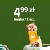 Linijka Paperdot Cappy Classes promocja w Empik