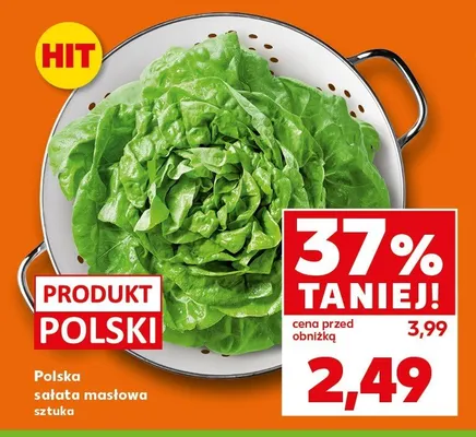 Sałata masłowa polska promocja w Kaufland