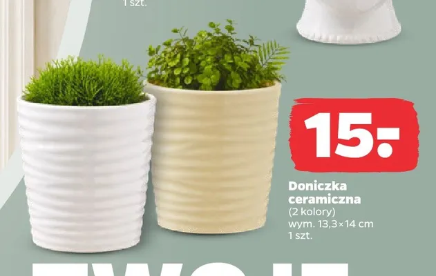 Doniczka ceramiczna promocja w Netto