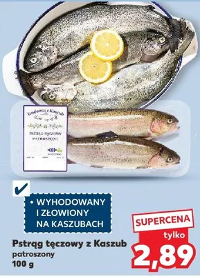 Pstrąg tęczowy z Kaszub patoszony promocja w Kaufland