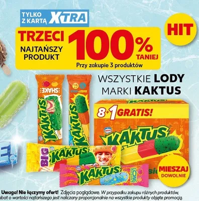 Lody Kaktus promocja w Kaufland
