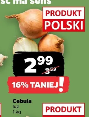 Cebula promocja w Netto