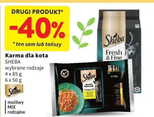 Karma dla kota promocja w Intermarche