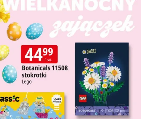 Botanicals 11508 stokrotki promocja w Leclerc