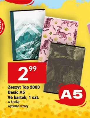 Zeszyt Top 2000 Basic A5 96 kartek promocja w Twój Market