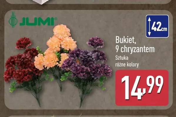 Bukiet 9 chryzantem Jumi promocja w Aldi