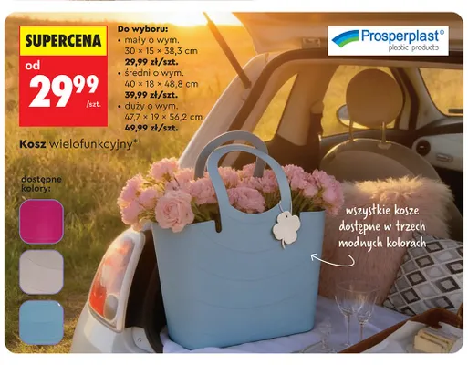 Kosz wielofunkcyjny Prosperplast średni 40x18x48,8cm promocja w Biedronka