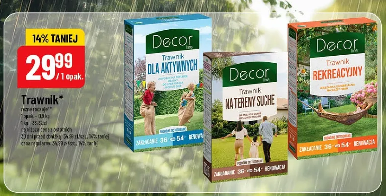 Trawnik na tereny suche Decor promocja w POLOmarket