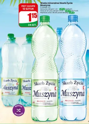 Woda mineralna gazowana Skarb Życia Muszyna promocja w Dino