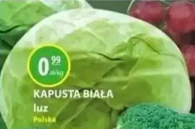 Kapusta biała luz promocja w Zielony Koszyk
