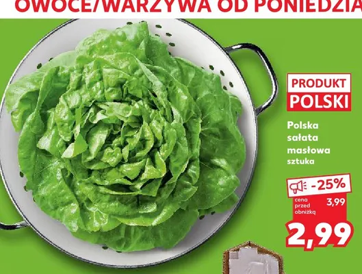 Sałata masłowa polska promocja w Kaufland