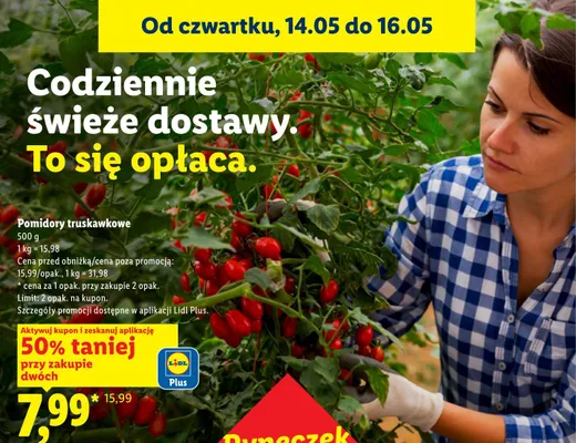 Pomidory truskawkowe promocja w Lidl