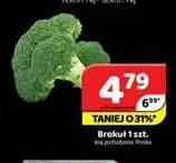 Brokuł promocja w Delfin