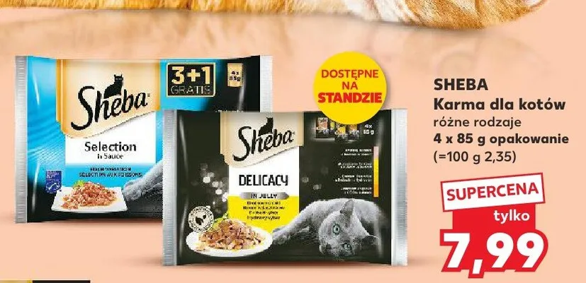 Karma dla kotów promocja w Kaufland