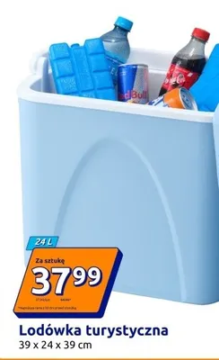 Lodówka turystyczna 24 l promocja w Action