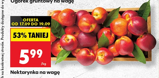 Nektarynka na wagę promocja w Biedronka
