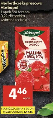 Herbatka ekspresowa malina z dziką różą promocja w Delikatesy Centrum