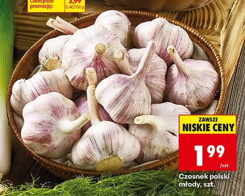 Czosnek polski młody promocja w Biedronka