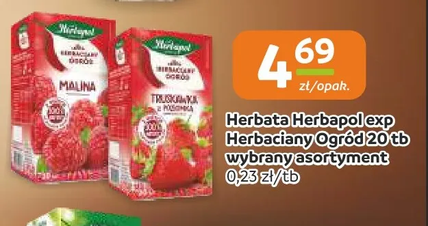 Herbata ekspresowa Herbapol Herbaciany Ogród truskawka z poziomką promocja w Gama
