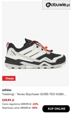 Trekkingi Terrex Skychaser GORE-TEX IH280 Adidas promocja w eobuwie.pl