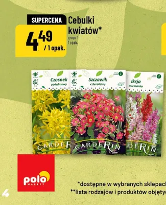 Cebulki kwiatów Garderin promocja w POLOmarket