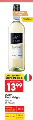 Wino Pinot Grigio promocja w Biedronka