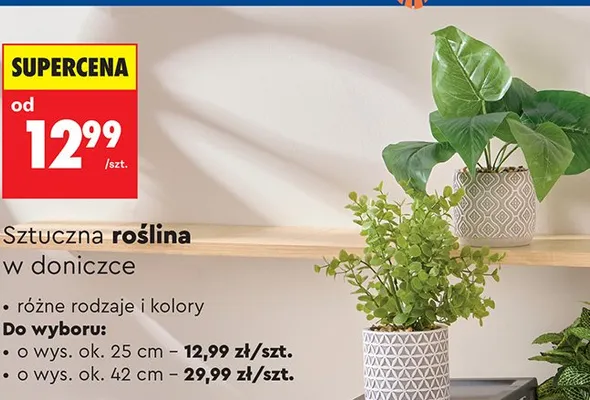 Sztuczna roślina w doniczce promocja w Biedronka