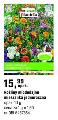 Rośliny miododajne mieszanka jednoroczna promocja w OBI