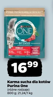 Karma sucha dla kotów promocja w Netto