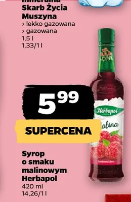 Syrop o smaku malinowym Herbapol promocja w Netto