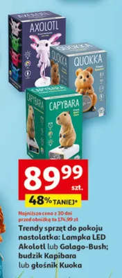 Trendy sprzęt do pokoju nastolatka: lampka LED Akaloi lub Galago-Bush; budzik Kapibara lub głośnik Kuoka promocja w Auchan