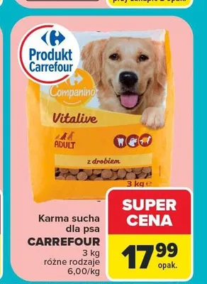 Karma sucha dla psa Carrefour Companino Vitalive promocja w Carrefour