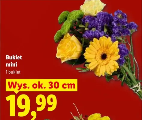 Bukiet mini wys. ok. 30cm promocja w Lidl