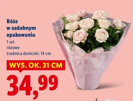 Róże w ozdobnym opakowaniu różowe promocja w Lidl