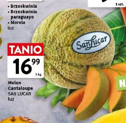 Melon Cantaloupe San Lucar luz promocja w Intermarche