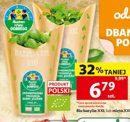 Bio bazylia XXL Auchan Pewni Dobrego promocja w Auchan
