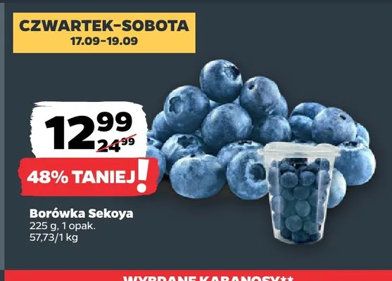 Borówka Sekoya promocja w Netto