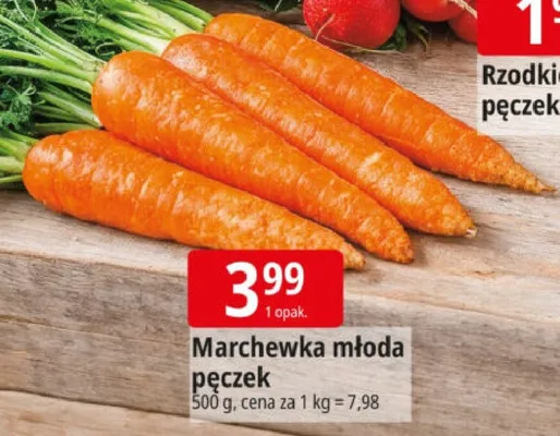 Marchewka młoda pęczek promocja w Leclerc