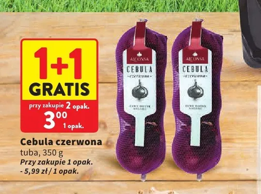 Cebula czerwona tuba promocja w Intermarche