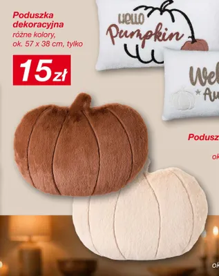 Poduszka dekoracyjna 57x38 cm promocja w KiK