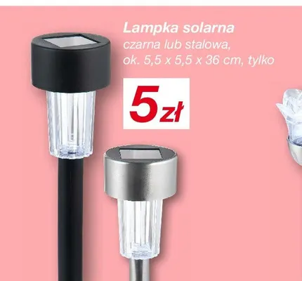 Lampka solarna czarna lub stalowa promocja w KiK