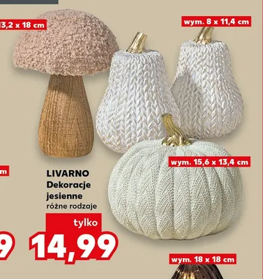 Dekoracje jesienne Livarno promocja w Kaufland