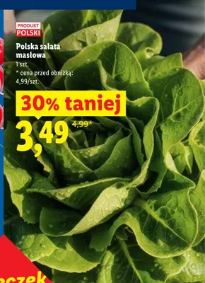 Sałata masłowa polska promocja w Lidl