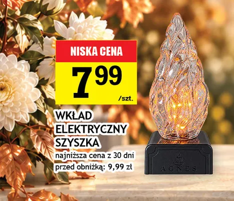 Wkład elektryczny szyszka Agnes promocja w Gram Market