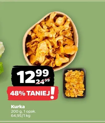 Kurka promocja w Netto
