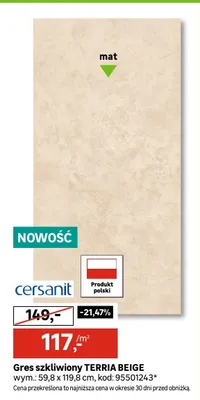 Gres szkliwiony Cersanit TERRIA BEIGE mat 59,8x119,8cm promocja w Leroy Merlin