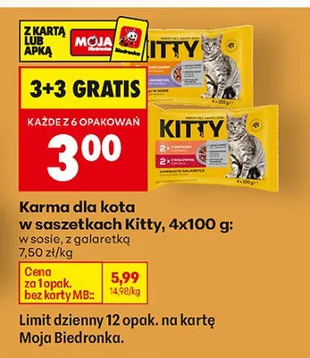 Karma dla kota w saszetkach Kitty, 4x100g, w sosie, z galaretką promocja w Biedronka