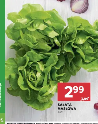 Sałata masłowa promocja w Stokrotka