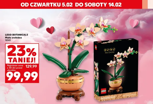 Mała orchidea promocja w Kaufland